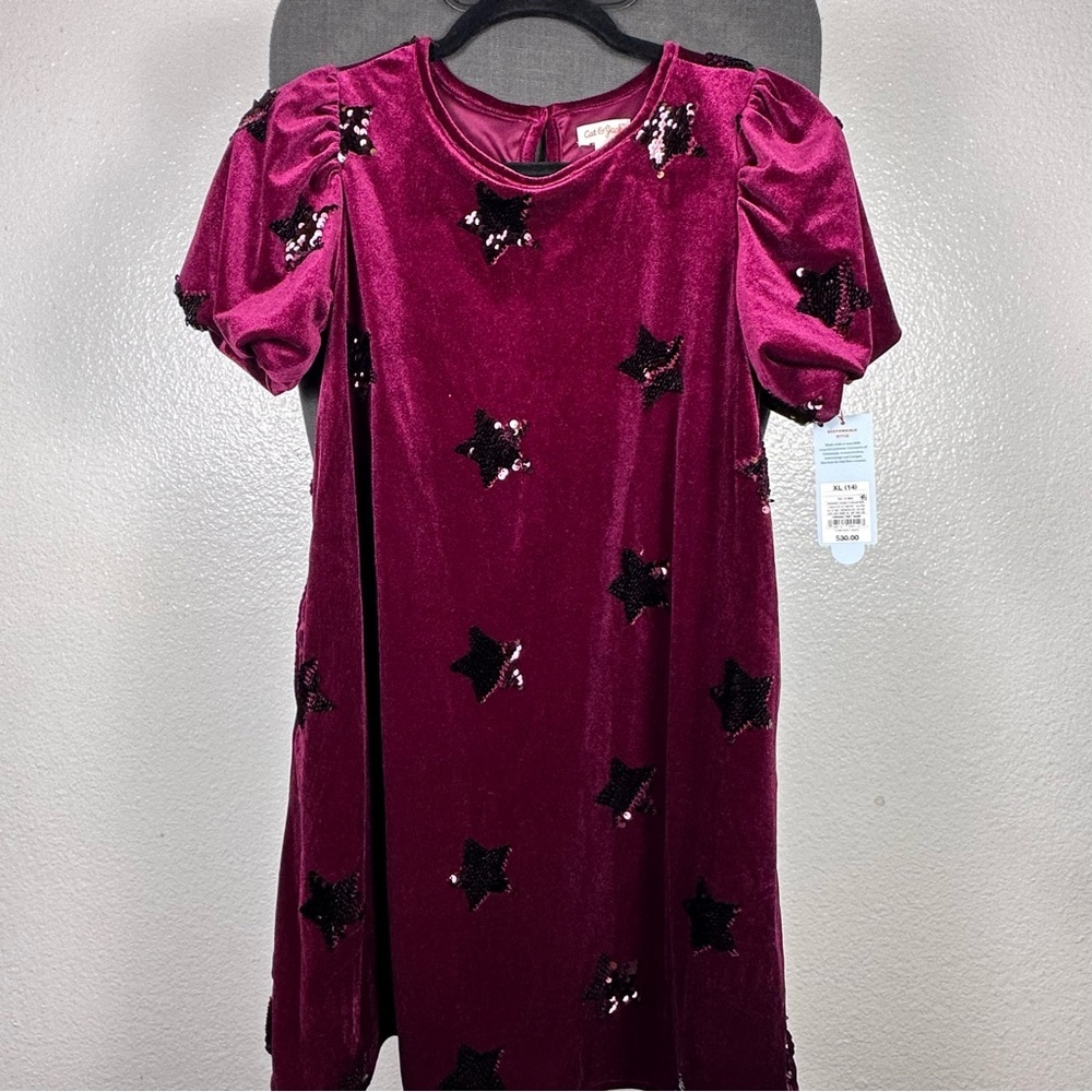 Cat & Jack Maroon Velvet Dress‎ with Black Sequin Details